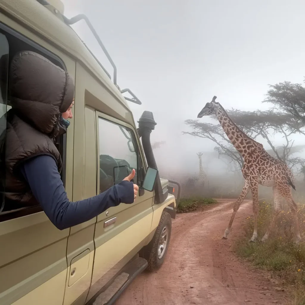 when on african safari luxury honeymoon dress appropriately